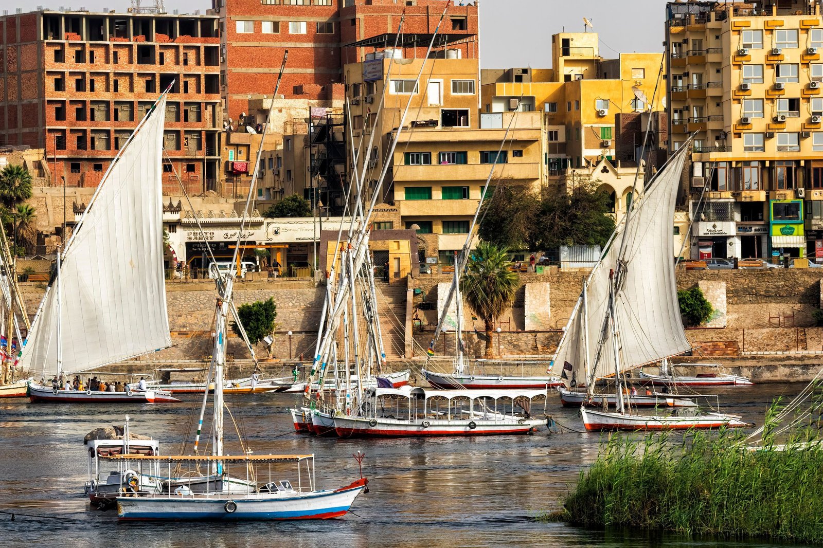 service-1 aswan