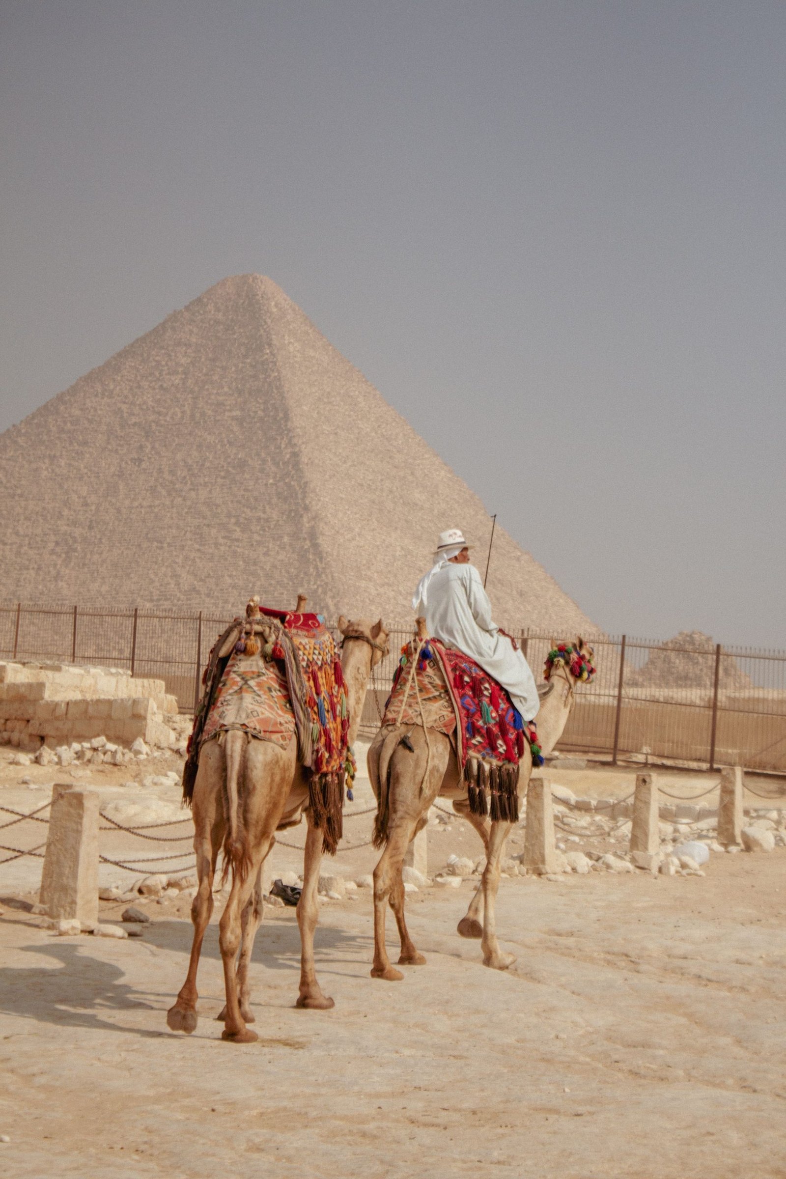 camel ride 2